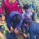 भालू के हमले से घायल महिला जंगल में मिली, बीते रोज से थी लापता