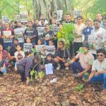 भनियावाला और ऋषिकेश मार्ग पर अब नहीं कटेंगे 3000 पेड़