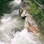 घास लेने गई महिला का पैर फिसलने के बाद उफनते गदेरे में बही